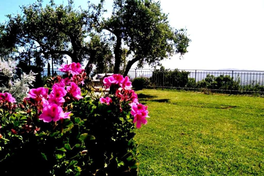 فيلا Casa Vista Mare - Superb Garden And Parking Included إمبيريا المظهر الخارجي الصورة