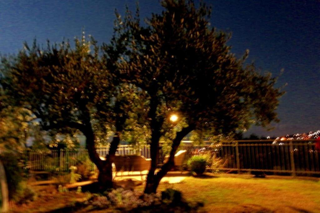فيلا Casa Vista Mare - Superb Garden And Parking Included إمبيريا المظهر الخارجي الصورة