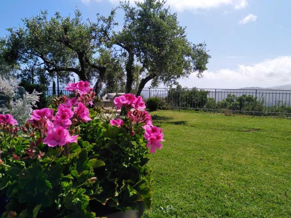 فيلا Casa Vista Mare - Superb Garden And Parking Included إمبيريا المظهر الخارجي الصورة